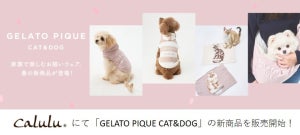 ジェラピケの犬猫用ライン「GELATO PIQUE CAT&DOG」から春の新商品登場!