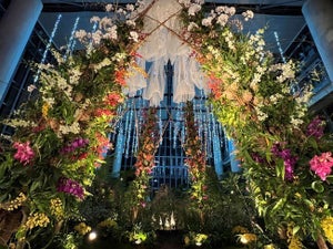 日本最大級の温室、美しく匂い立ち蘭であふれる「特別展 蘭展 あわじオーキッドフェスティバル2023」