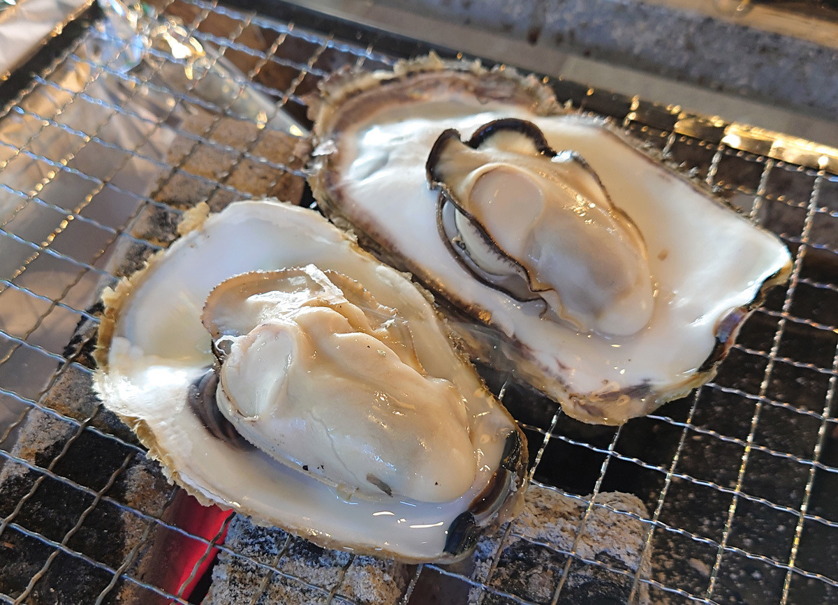 福井駅前で石巻の牡蠣!「出張カキ小屋 牡蠣奉行」が福井市にぎわい交流施設 ハピテラスに：マピオンニュース