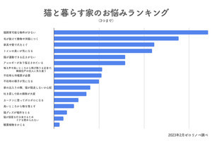 猫と暮らす家のお悩みランキング! 2位は「毛が抜けて敷物や洋服につく」、1位は?