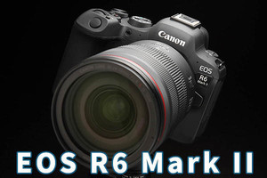 EOS R6 Mark II」レビュー後編 一眼レフと撮り比べて分かった進化点