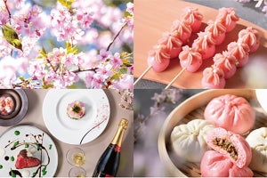 八芳園で"春祭り"開催 - 入場料無料のライトアップやDJイベントなど