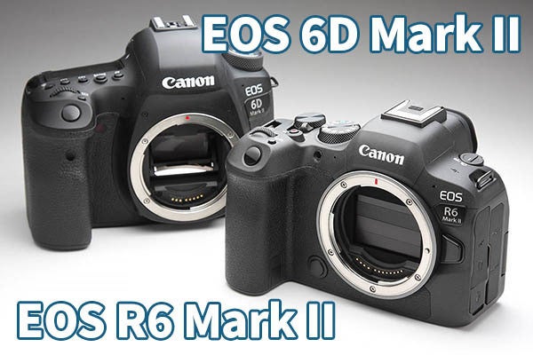 EOS R6 Mark II」レビュー後編 一眼レフと撮り比べて分かった進化点