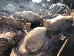 幻の「日生産牡蠣」をお好み焼きで、蒸し牡蠣で!-関東で殆ど流通しない“ブランド牡蠣”が松屋銀座に