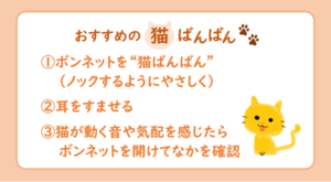 猫が車に入り込んだ! 救援要請は19件-JAFが“猫ばんばん”を呼びかけ