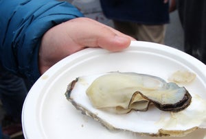 【南三陸で牡蠣】冬の味覚「牡蠣祭り」開催! 5,000名に振舞い牡蠣も-2月26日開催