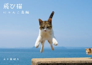 「飛び猫写真展」が来場者数10,000人を突破! 郵政博物館で3月21日まで開催