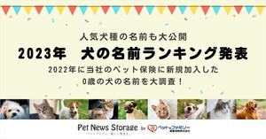 人気の「犬の名前」ランキング、1位は? - 2位ココ、3位モカ