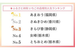 ふるさと納税で人気の「いちご」返礼品ランキング、1位は福岡県のあの品種!