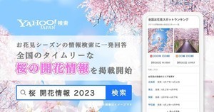 Yahoo!検索、タイムリーな桜の開花情報やお花見スポットランキングが確認可能に