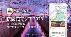 【桜はどこに咲いてる?】Yahoo! MAP、「桜開花マップ 2023」提供開始