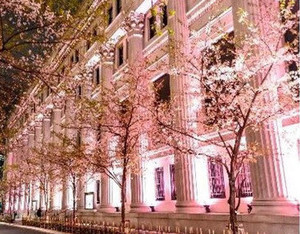 【日本橋で桜と春グルメ】ニホンバシ桜屋台も4年ぶりに復活!「SAKURA FES NIHONBASHI 2023」開催