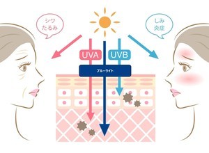 肌のしみ・しわの原因を作る「ブルーライト」、その影響を正しく理解している? 