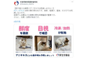アニサキス猫、厚労省「アニサキスの食中毒予防法」ツイートが効果ばつぐんだった - ネット「良い図版」「猫は卑怯」