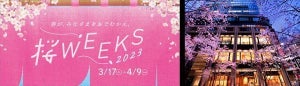 春爛漫! 「COREDO室町」など5施設で"桜"イベント開催中