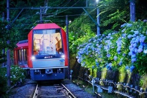 箱根登山鉄道「夜のあじさい号」が4年ぶり復活、招待列車の運転も