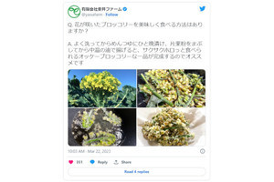 「ブロッコリーの花」って食べられるの？ 農家の食べ方紹介がネットで反響