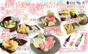 大衆寿司居酒屋「鮨 酒 肴　杉玉」、桜鯛や天然ピンク海老が登場する『桜祭り』開催