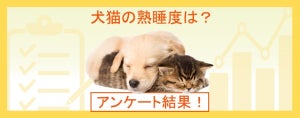 犬・猫の飼い主さん95%が「ペットはぐっすり眠れている」と回答 – 「寝ている場所」の1位は……?