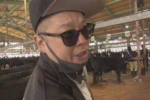 元ホスト、“牛飼い”に転身　和牛の繁殖農家で人工授精師として生計立てる