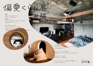 リノべるが"猫との暮らし"をテーマにイベント開催 - カリモク「猫用家具」の展示や猫グッズワークショップも