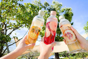 無添加フルーツティー「DozoFreesh Fruits Tea」リニューアル発売