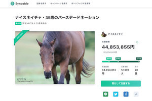 元競走馬「ナイスネイチャ」のバースデードネーションが人気爆発、2日で4,000万円突破 - ネット「課金より募金？」