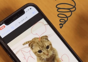 【一発!】iPhoneで手書きイラストが綺麗に描ける! 自動補正の簡単写真編集テクニックをご紹介