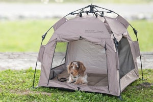 アウトドアブランド「QUICKCAMP」から、愛犬専用「ドッグテント」登場! - 場所を選ばず1分で簡単設営