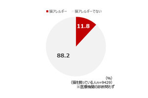 「猫を飼っている人」8人に1人が猫アレルギー症状 - それでも飼う理由は?