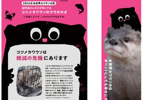 【5月31日は世界カワウソの日】上野動物園で、飼育員さんがカワウソの“裏の顔”を公開!?