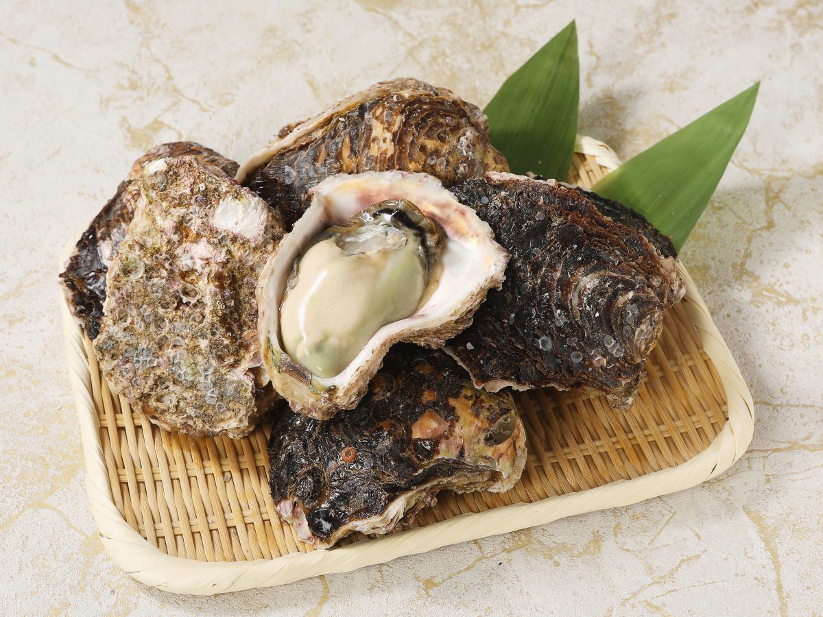 ふるさと納税 延岡市 延岡産天然岩牡蠣(生食用)3kg(中) - 牡蠣