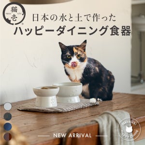 猫用「ハッピーダイニング食器」丸朝製陶所とのコラボで新登場