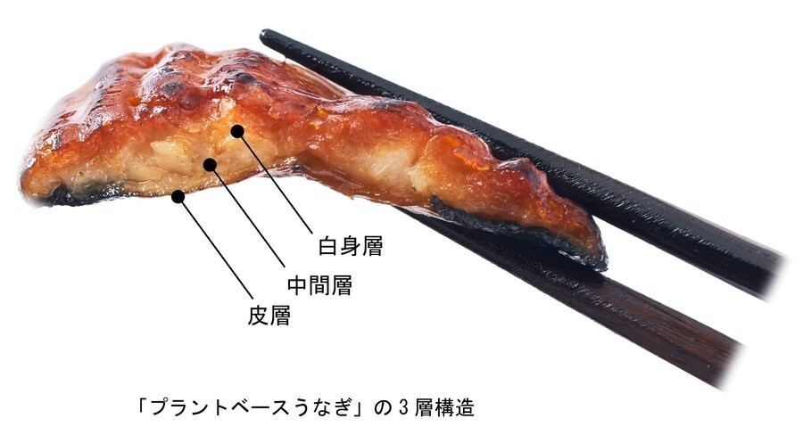 日清食品、動物原料使わず「うなぎの蒲焼」再現した「プラントベースうなぎ」開発 - ネット「食べてみたい」「手軽になるといい」