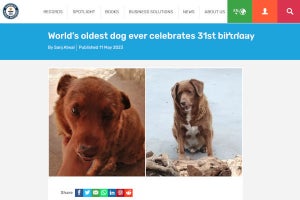 ギネス認定「世界最高齢犬」のボビ、ついに31歳の誕生日を迎える - ネット「同い年だ」「人間で例えると186歳」
