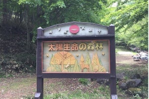 栃木県那須塩原市「太陽生命の森林」で日本ダウン症協会を招いた森林教室を開催