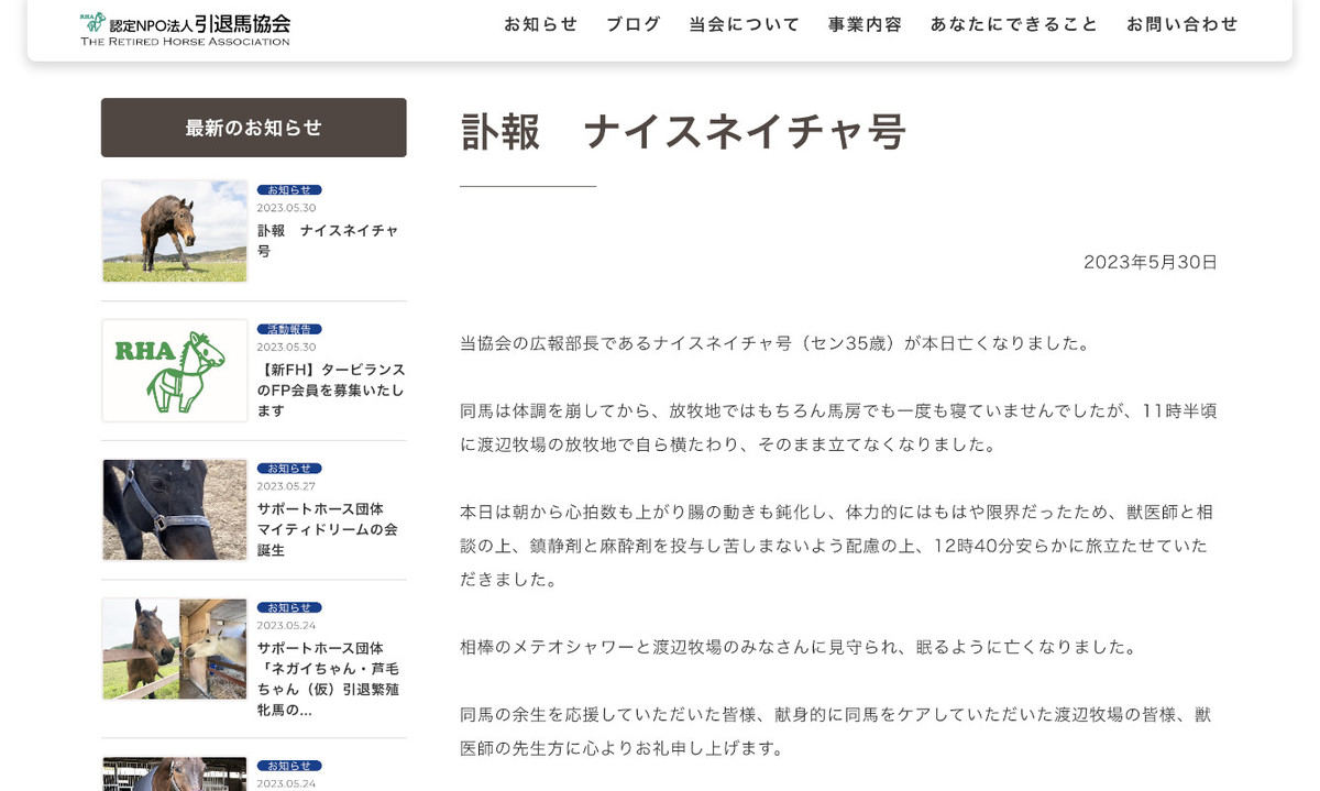 元競走馬「ナイスネイチャ」が35歳で旅立つ、ネットにも弔いの声あふれる - 「たくさんの感動をありがとう」