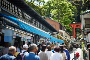 鎌倉駅周辺は10～20代、鶴岡八幡宮は50～60代女性の旅行客が多い? Yahooが行動データから観光スポット訪問者の特徴を分析