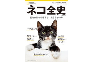 猫のすべてを解き明かす書籍「ネコ全史」発売 - ネット「ポチッとな」「ネコ語入門！」