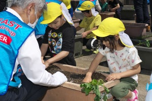 「でっかいお芋が育って欲しい!」NTT川崎ビルで保育園児が苗植えにチャレンジ
