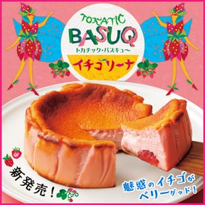 苺のバスクチーズケーキ「イチゴリーナ」入りのセット発売 - 5日間限定で送料無料キャンペーン実施