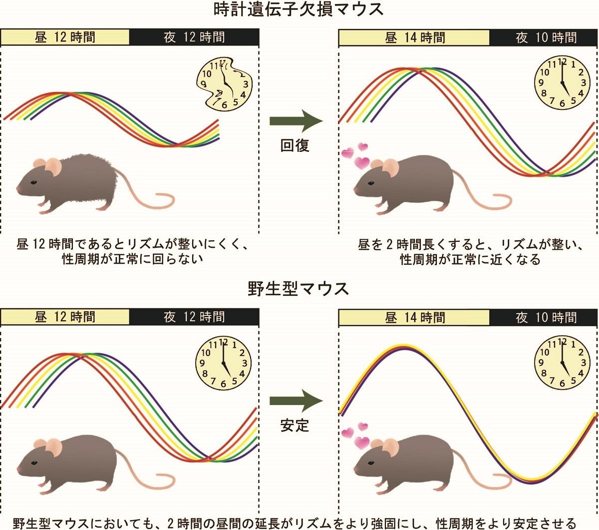 参考図と説明