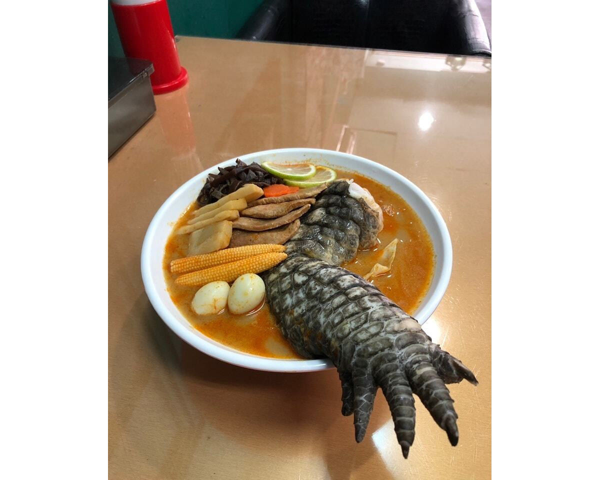 【閲覧注意】「ワニの足」丸ごとラーメンが誕生、「ゴジララーメン」だそう - ネット「攻めてるね」「恐怖」