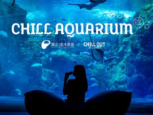 新江ノ島水族館×CHILL OUT、夜の水族館「CHILL AQUARIUM」7月29日より期間限定開催