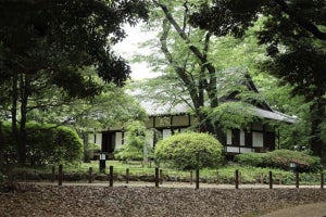 東京国立博物館に日本文化を体験できる「TOHAKU 茶館」が開館 - 禅呼吸法、着物の着付け、食など