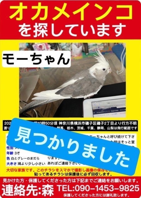 優しい世界】迷子のオカメインコと11カ月ぶりに再会! 喜ぶ飼い主さんにさらなる感動の出来事が  -「なんか泣いちゃった」「こんなに愛が溢れたポスター見たことない」：マピオンニュース