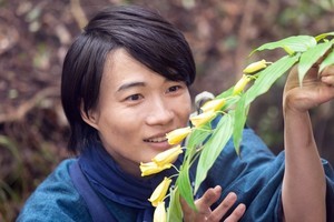 『らんまん』植物レプリカも作って撮影に使用! 植物にまつわる裏話を植物監修者が明かす