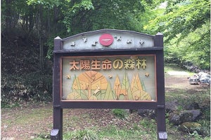 太陽生命、栃木県那須塩原市の「太陽生命の森林(もり)」で森林整備活動を実施
