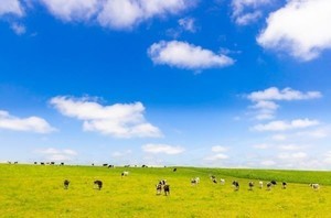 北海道別海町ふるさと納税返礼品「酪農王国・別海町の自慢の乳製品たち」 