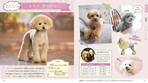 「もふかわ」なイヌの図鑑が登場! 日本で最も飼われているトイ・プードルなど人気犬種64種を収録